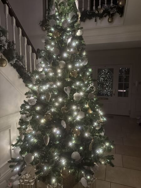 Or do fake trees always  look crap?