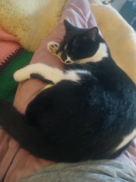 Support thread for anyone trying to lead an Alcohol free life - Winter 25