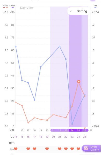 Does this look like I have ovulated?