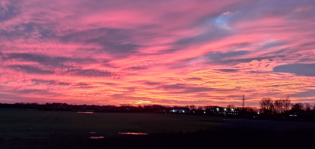 The Nigel Slater Christmas Chronicles readalong 2025 - Part 2