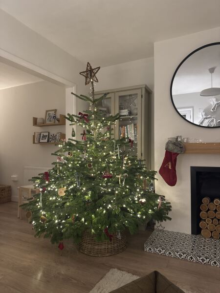 Have we had a Christmas tree thread this year?