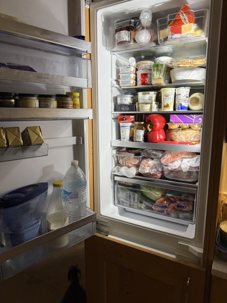 Christmas Fridge Thread 2025?