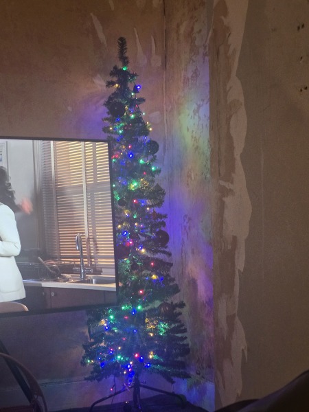 Have we had a Christmas tree thread this year?
