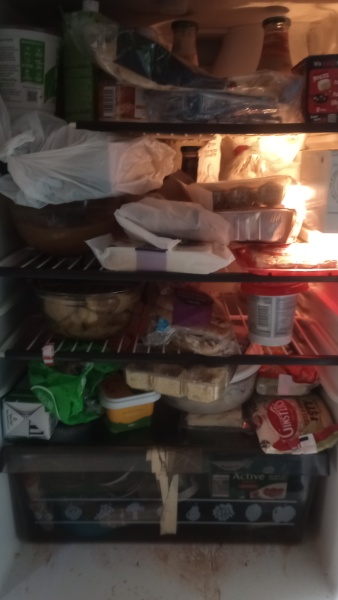 Christmas Fridge Thread 2025?