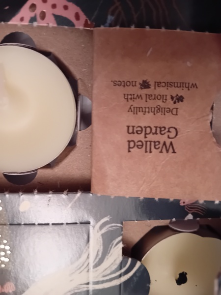 Non-Beauty Advent Calendar Opening Thread