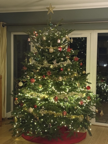 Have we had a Christmas tree thread this year?