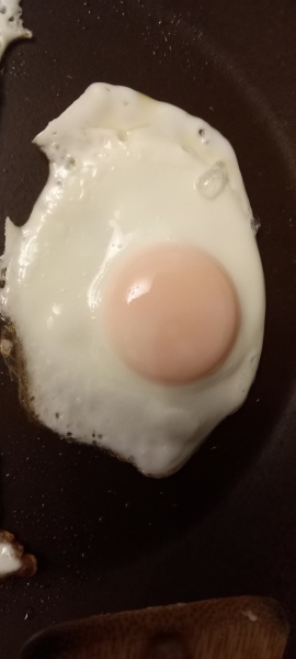 To ask if this is the most perfectly cooked fried egg you've ever seen?