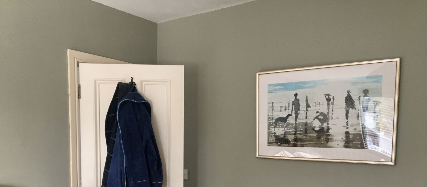 Green Lounge Paint