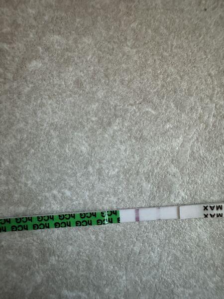 The Hopeful Hearts Circle 1  - December 2025🎄💖