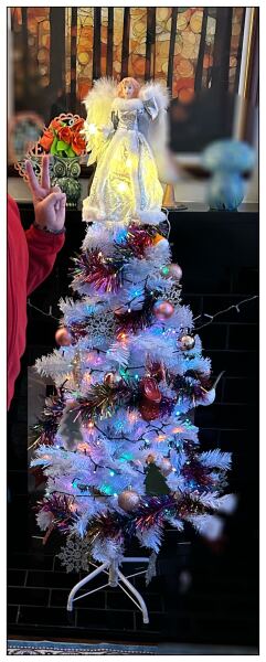 Tree fairy