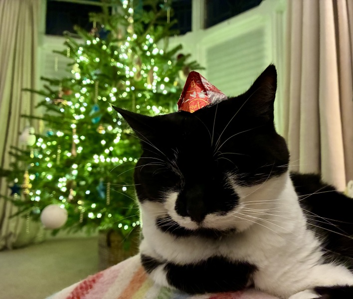 Thread 19 - TalkLair: "The light that burns twice as bright burns half as long"