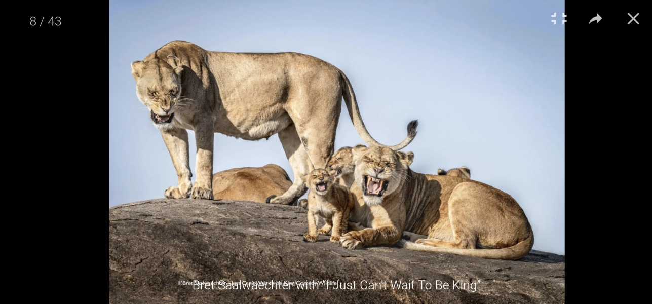 The Bluestocking: Next stop, Christmas!