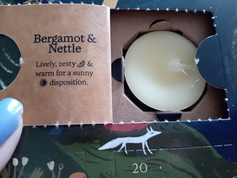 Non-Beauty Advent Calendar Opening Thread