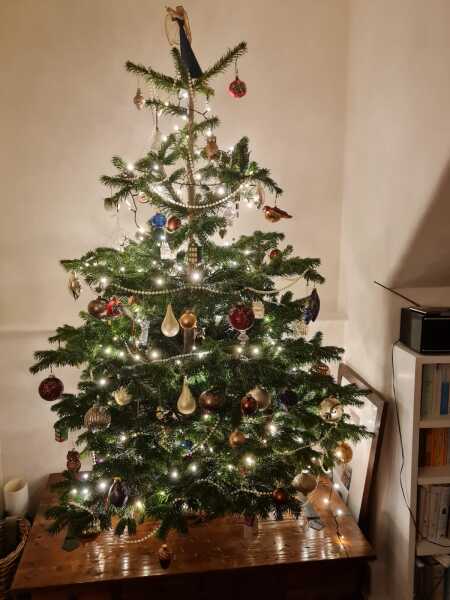 The Nigel Slater Christmas Chronicles Readalong 2025 - Part 3