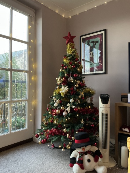 The Bluestocking: it's the season of mulled wine, conversations about pineapple and, of course, gerbils. Confused? You will be...