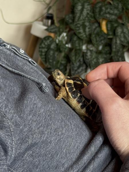 Thread 19 - TalkLair: "The light that burns twice as bright burns half as long"