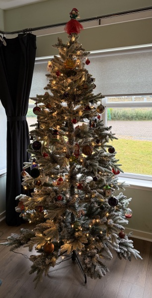 Share your Christmas Tree 🎄