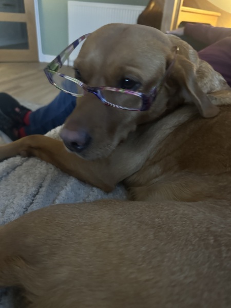 Support thread for anyone trying to lead an Alcohol free life - Winter 25