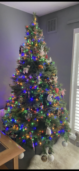 Have we had a Christmas tree thread this year?