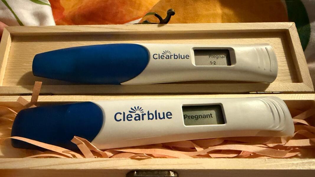 The Hopeful Hearts Circle 1  - December 2025🎄💖