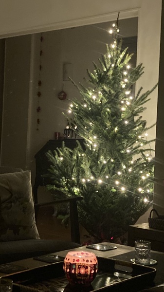 The Nigel Slater Christmas Chronicles readalong 2025 - Part 2