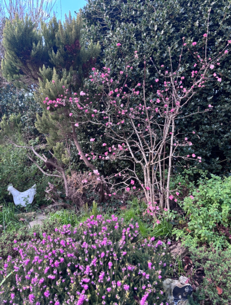 The Nigel Slater Christmas Chronicles Readalong 2025 - Part 3