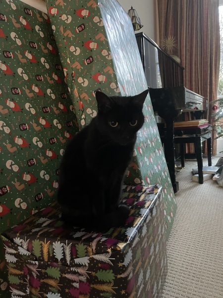 Thread 40 Starmer: Prettig Kerstfeest, Nollaig Shona, Hyvää Joulua, Nadolig Llawen ,圣诞快乐, God Jul, Feliz Navidad, Bouan Noué, Nollaig Chridheil.