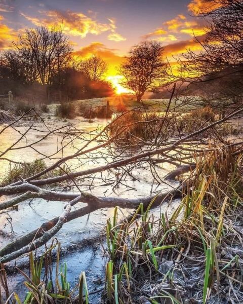 Today is the shortest day!