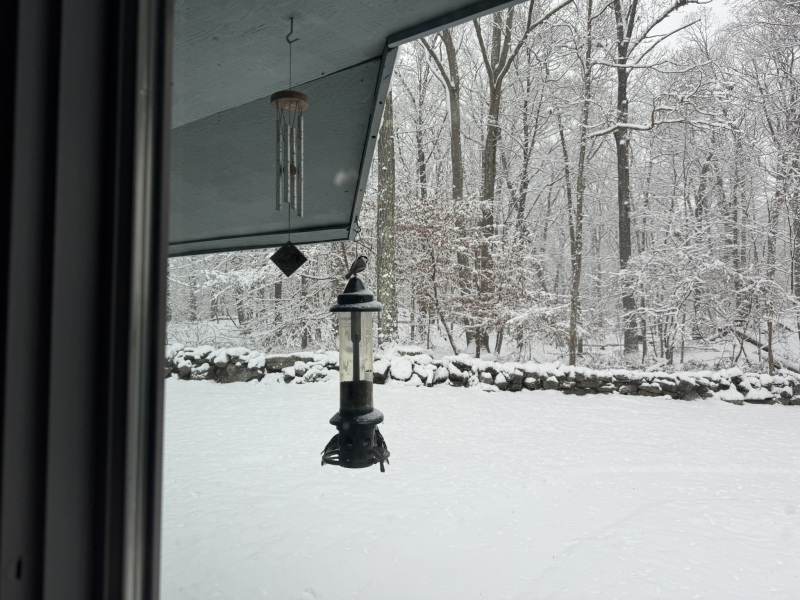 Come and tell us your dull and unexciting news 34: Calmly through the day