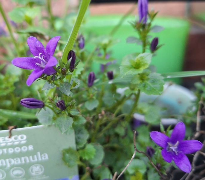 The Nigel Slater Christmas Chronicles Readalong 2025 - Part 3