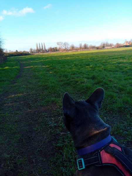 Support thread for anyone trying to lead an Alcohol free life - Winter 25