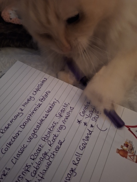 The Nigel Slater Christmas Chronicles Readalong 2025 - Part 3