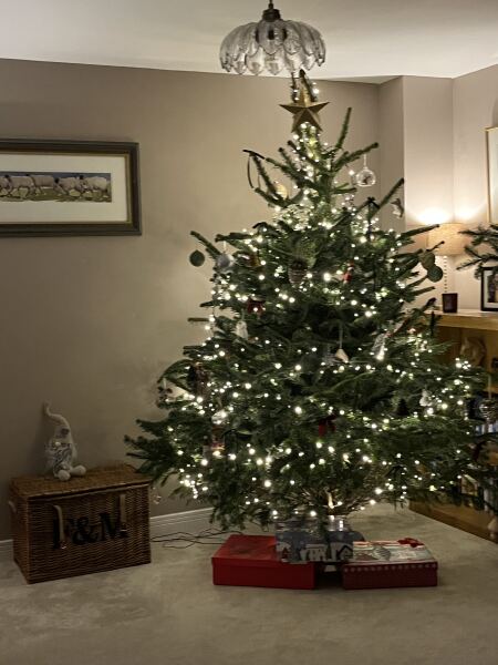 Share your Christmas Tree 🎄