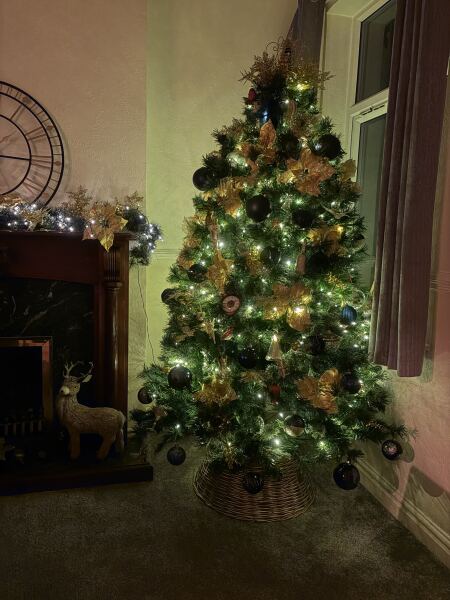 Have we had a Christmas tree thread this year?