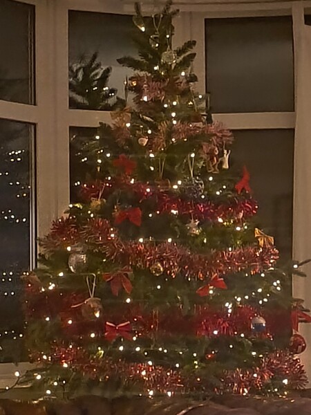 Or do fake trees always  look crap?