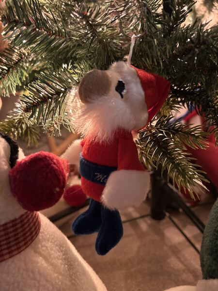 Show your best worst tree ornament