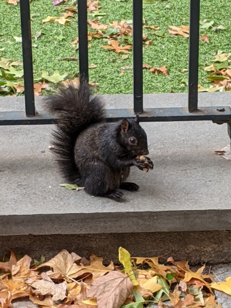 War (crimes) and Peace (prizes) - Trump Thread #151