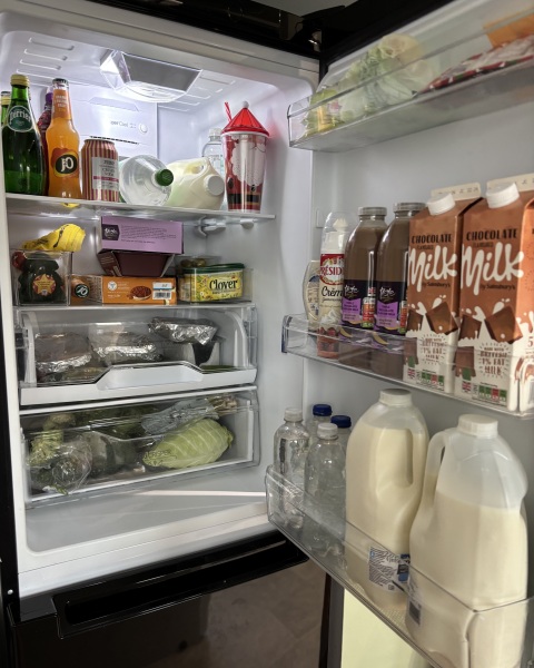 Christmas Fridge Thread 2025?