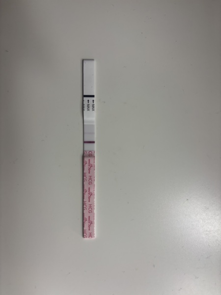 TWW over Christmas🎄✨