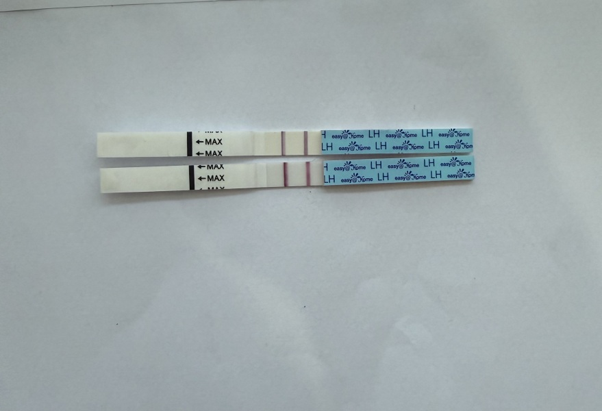 Cold/flu effect lh test??