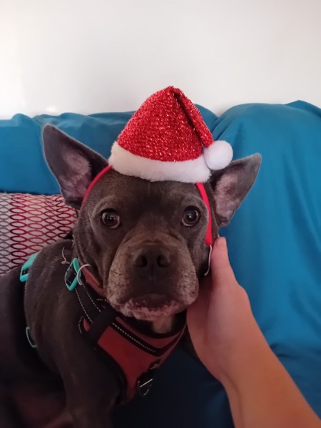 Support thread for anyone trying to lead an Alcohol free life - Winter 25