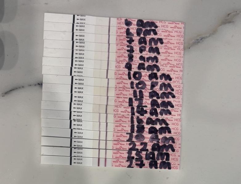 IVF progression line