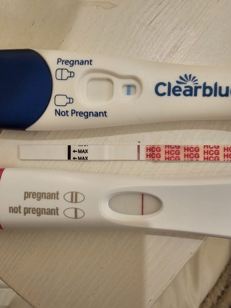 Due September 2026 🐣💖🙏🤞