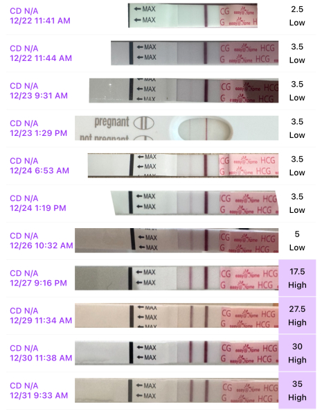 Due September 2026 🐣💖🙏🤞