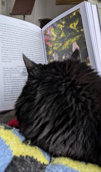 The Nigel Slater Christmas Chronicles readalong 2025 - Part 2