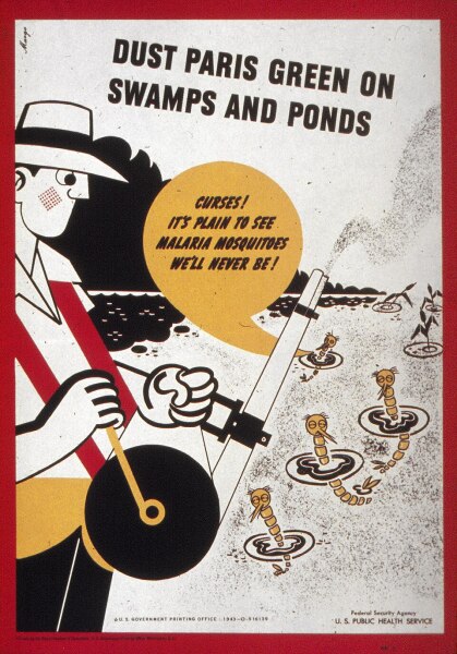 Paris Green's prison adventures continue