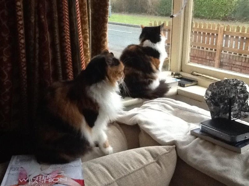 The Nigel Slater Christmas Chronicles Readalong 2025 - Part 3