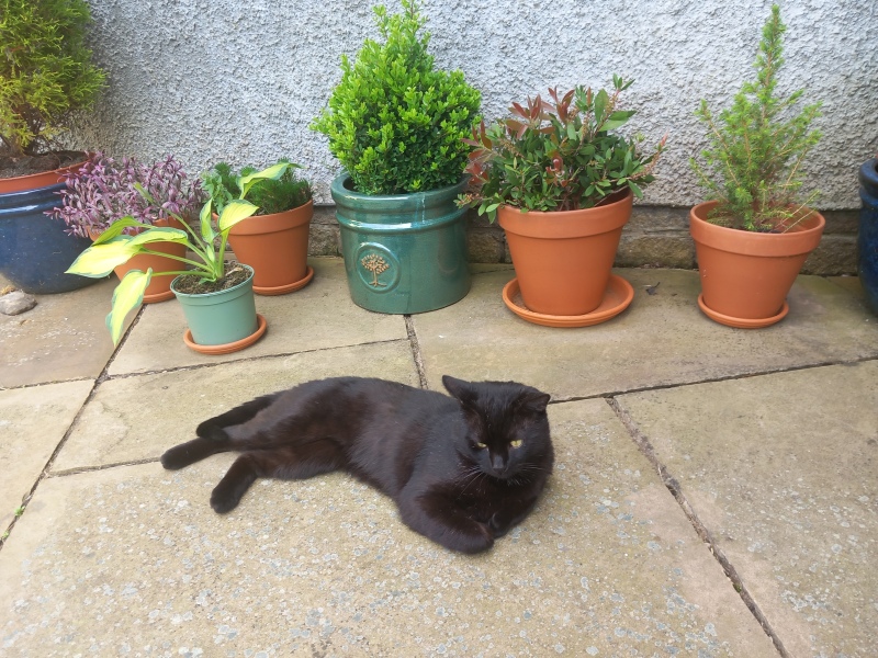 What have you done in the garden today? Part 7