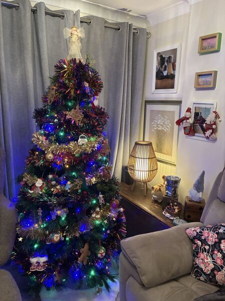 Have we had a Christmas tree thread this year?