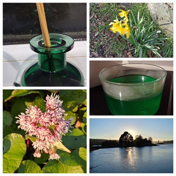 Any Witches Here? Part 21